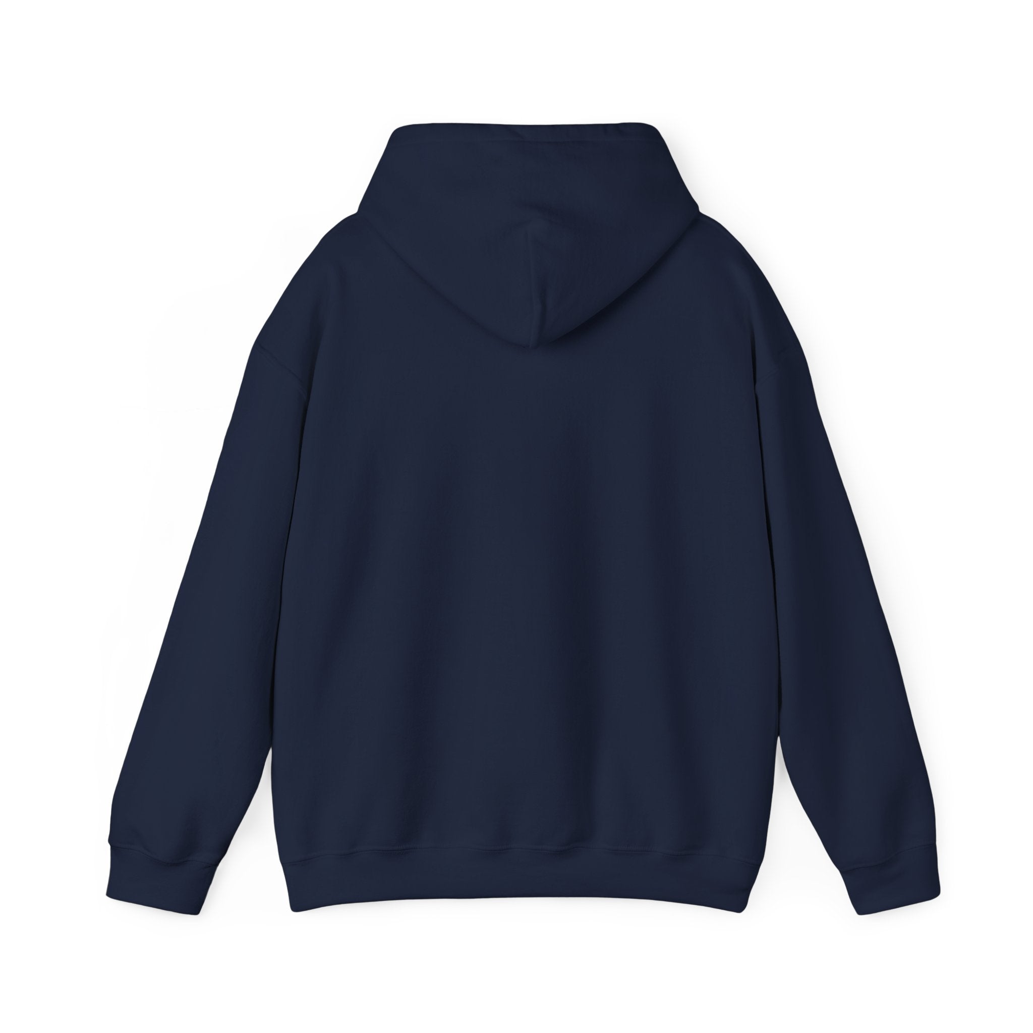 The Indoor Living Collection - Unisex hoodie