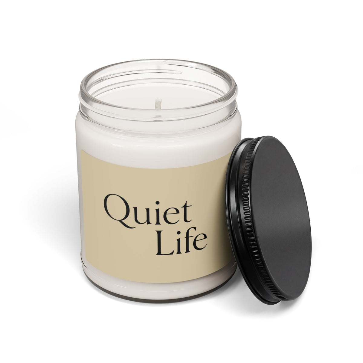 Quiet Life - Scented Soy Candle (9oz - Cinnamon Vanilla )