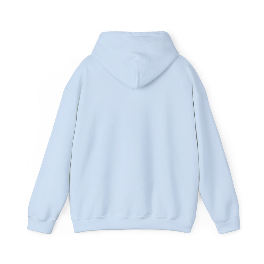 The Indoor Living Collection - Unisex hoodie