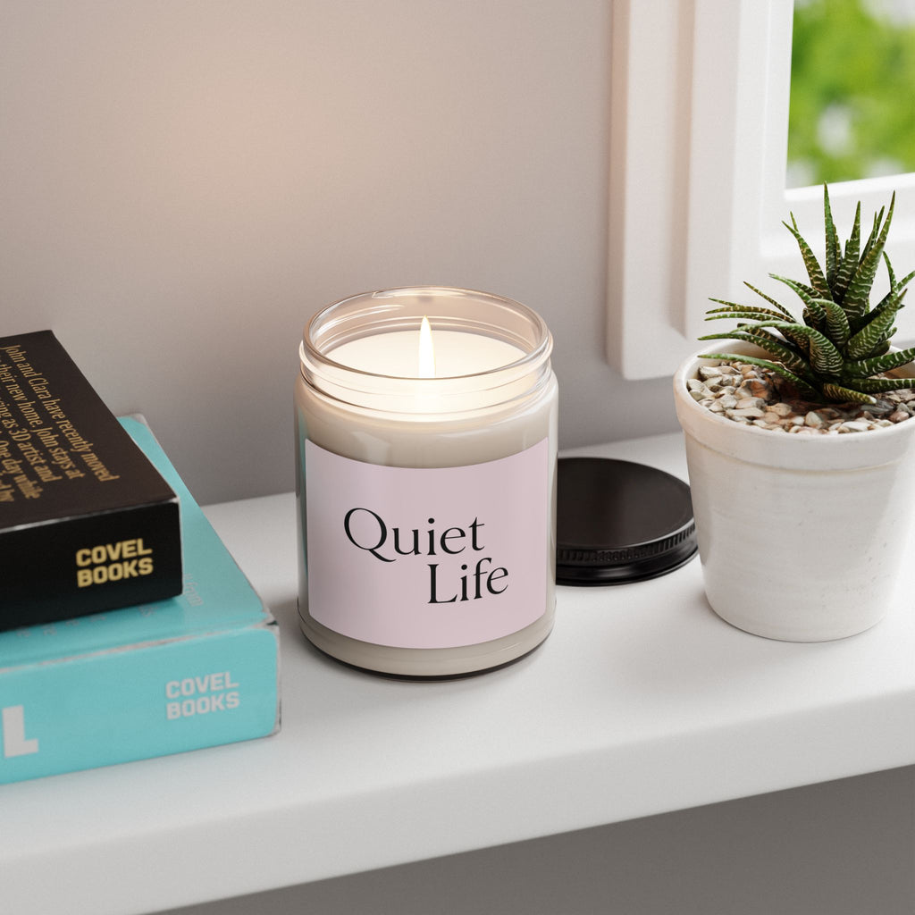 Quiet Life - Scented Soy Candle (9oz - Christmas Warmth )