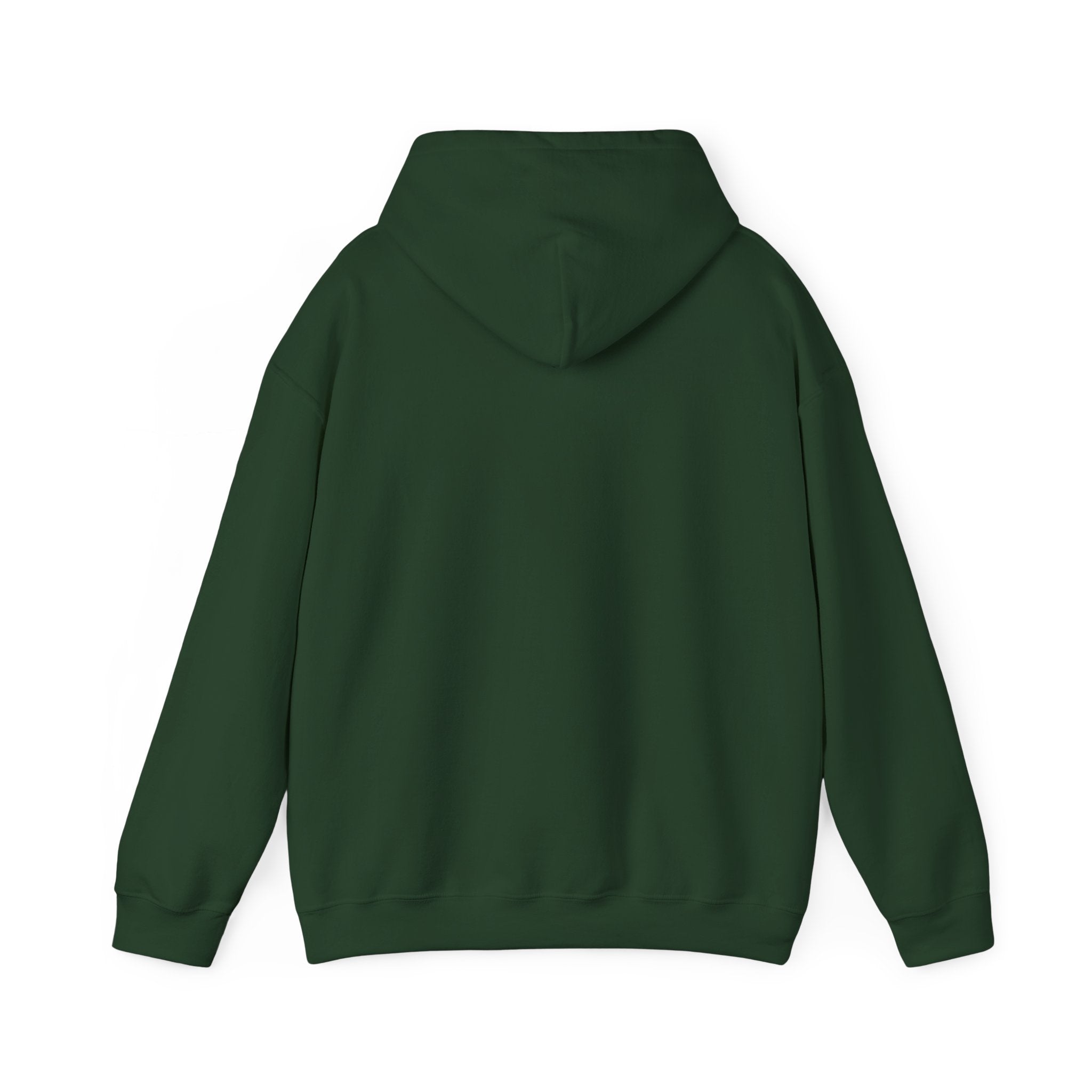 The Indoor Living Collection - Unisex hoodie